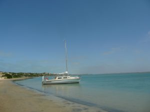 P1100594