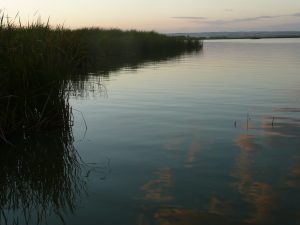 P1100649